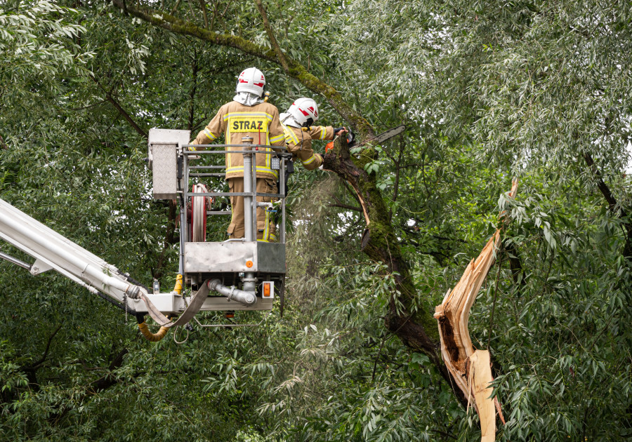 Fotó: Shutterstock / PuzzlePix